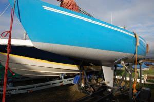 Harlequin 21